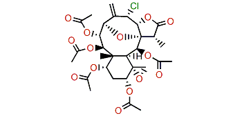 Gemmacolide X